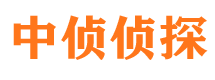 潮阳市调查公司